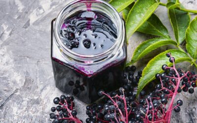 Najlepsze soki z czarnego bzu – Ranking 2026